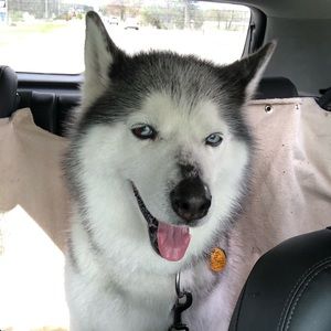 Meet your Posher, Kyler